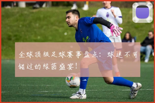 全球顶级足球赛事盘点：球迷不可错过的绿茵盛宴！