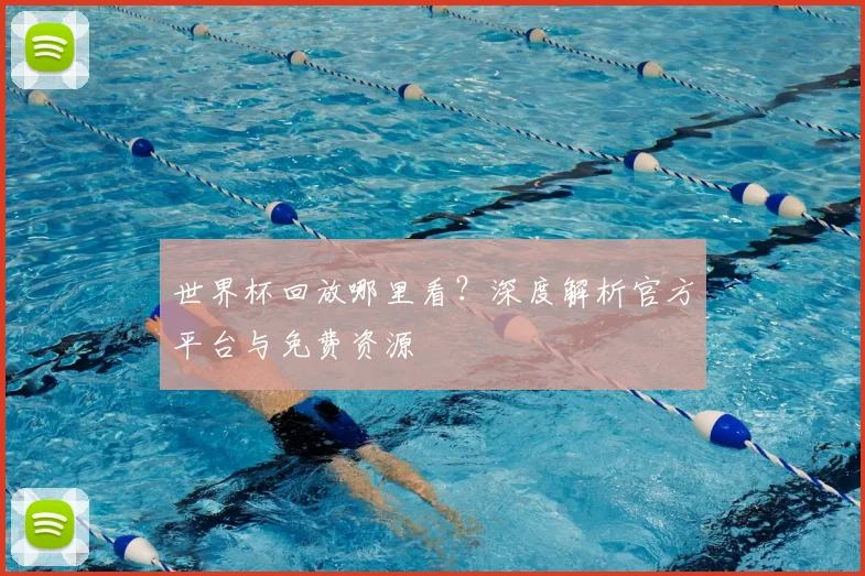 世界杯回放哪里看?深度解析官方平台与免费资源